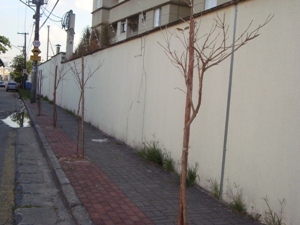 Calcadas_verdes Calçada verde na rua Eulálio da Costa Carvalho CRÉDITO: Adriana Rocha/ Subprefeitura da Casa Verde